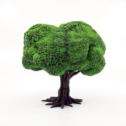Playable Trees - Deciduous Tree C