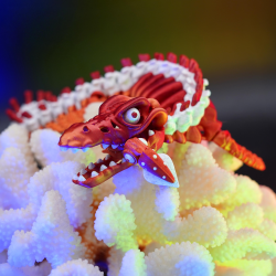 Skeleton Mosasaurus � Fleksibel Skelet Hav�gle (ca. 25 cm)