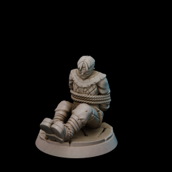 Elwin; the Unfortunate Prisoner