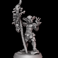 Goblin Shaman from The Bog Creepers tribe
