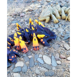 War Dragon � Flexi Drage - 25cm