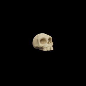 Skull
