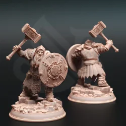 Tors of Delvdor - Dwarven Cleric of Life