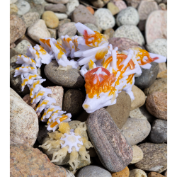 Solar Dragon � Flexi Drage med Krystal- og Soldesign