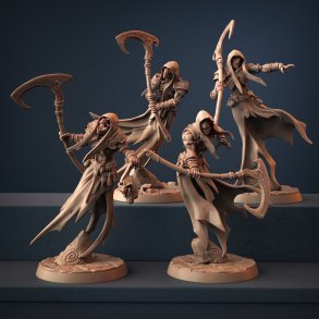 Skutagaard Wraiths - 4 Modular Units - Darkness of the Lich Lord