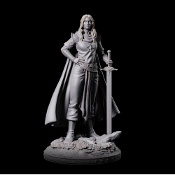 Celesty Sunwindy; Elven Warrior