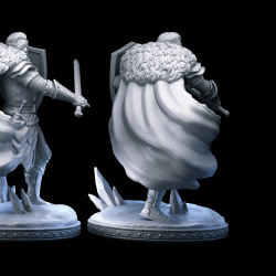 Osmond - Human Paladin Hero with Sword and Shield