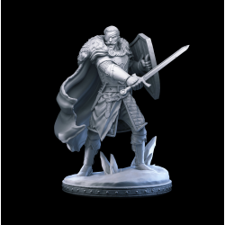 Osmond - Human Paladin Hero with Sword and Shield