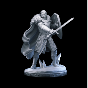 Osmond - Human Paladin Hero with Sword and Shield