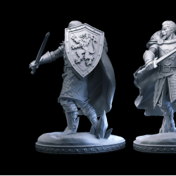 Osmond - Human Paladin Hero with Sword and Shield